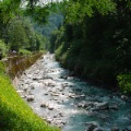 DSC00004_34