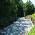 DSC00005_33