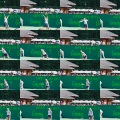 DSC00194_1