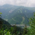 DSC00240_1