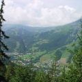 DSC00242_1