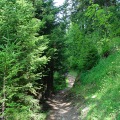 DSC00243_1