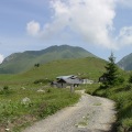 DSC00245