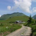 DSC00245_1