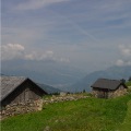 DSC00247_1