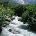 DSC00253