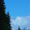 DSC00263_1