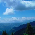 DSC00267_3