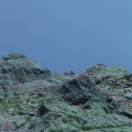 DSC00293