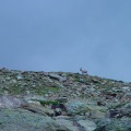 DSC00294_1