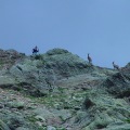 DSC00297_1