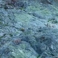 DSC00299_1