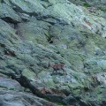 DSC00301_1