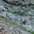 DSC00302_1