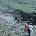 DSC00304_1