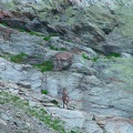 DSC00307_1