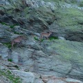 DSC00308