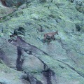 DSC00309_1