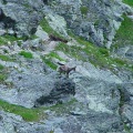 DSC00316_1