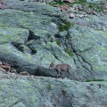 DSC00317_1