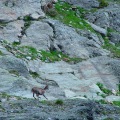 DSC00318_1