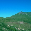 DSC00330_1