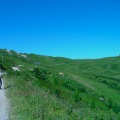 DSC00331_1