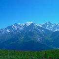 DSC00336