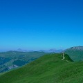 DSC00338