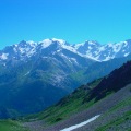 DSC00351_1
