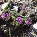 DSC00352_1_1