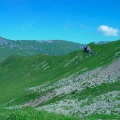 DSC00354_1