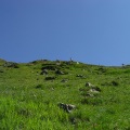 DSC00359_1