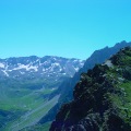 DSC00365