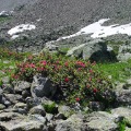 DSC00378