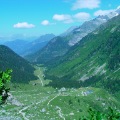 DSC00384