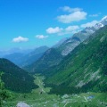 DSC00385_1