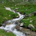 DSC00388_1