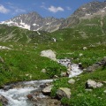 DSC00389_1