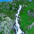 DSC00392_1