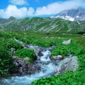 DSC00401_1