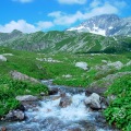 DSC00403_1