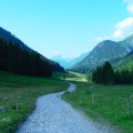DSC00405_1