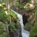 DSC00408_1