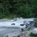 DSC00411_1