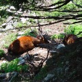 DSC00419_1