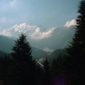 DSC00004_36