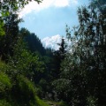 DSC00005_35