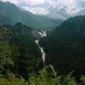 DSC00007_33