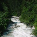DSC00010_29